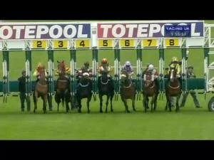Video preview image for Hamilton Park 13:55 - Best Odds Guaranteed At totepool.com Handicap