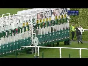 Video preview image for Hamilton Park 16:10 - Ginger Grouse Handicap