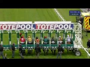 Video preview image for Hamilton Park 16:45 - Totepool Buttonhook Handicap