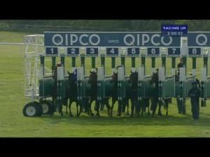 Video preview image for Newmarket 17:00 - Tweenhills Pretty Polly Stakes (Fillies' Listed)