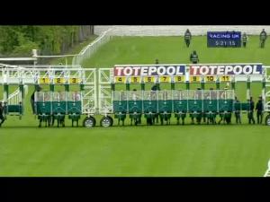 Video preview image for Hamilton Park 17:20 - Chris & Jennifer Forthcoming Wedding Handicap