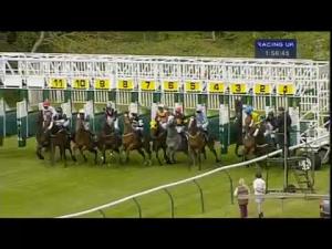 Video preview image for Warwick 13:55 - Art Kitchen, Warwick Apprentice Handicap