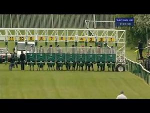 Video preview image for Warwick 14:30 - British Stallion Studs EBF Maiden Fillies' Stakes (Bobis Race)