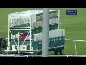 Video preview image for Kempton Park 17:10 - Follow Betvictorracing On Twitter Handicap (Bobis Race)