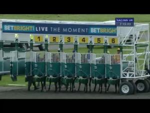 Video preview image for Kempton Park 19:15 - betbright.com Handicap