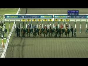 Video preview image for Kempton Park 20:45 - Betbright - Live The Moment Handicap (Bobis Race)