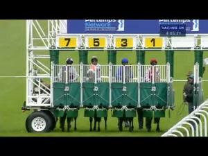 Video preview image for Haydock Park 16:05 - Pertemps Network Spring Trophy Stakes (Listed)