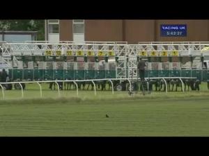 Video preview image for Thirsk 17:40 - Abf The Soldiers' Charity Handicap