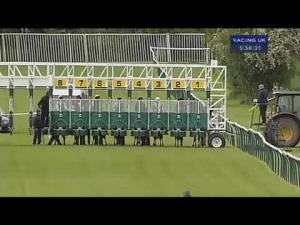 Video preview image for Warwick 17:55 - ebfstallions.com EBF Maiden Stakes