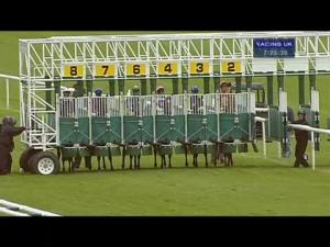 Video preview image for Warwick 19:25 - New Peugeot 108 Handicap