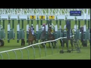 Video preview image for Warwick 19:55 - New Citroen C1 Handicap (Bobis Race)