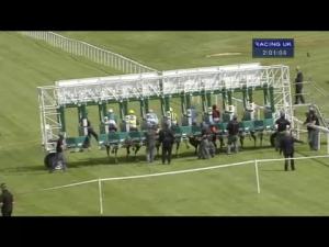 Video preview image for Salisbury 14:00 - Bathwick Tyres EBF Stallions Breeding Winners Fillies' Handicap