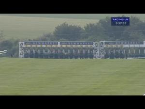 Video preview image for Newmarket 17:55 - Carrs Bmw Handicap