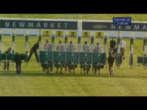 Video preview image for Newmarket 19:35 - Orbital Food MacHinery Classified Stakes