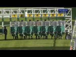 Video preview image for Hamilton Park 17:55 - Irish Stallion Farms EBF Maiden Stakes
