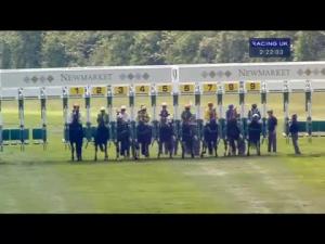 Video preview image for Newmarket 14:20 - Triconnex Handicap