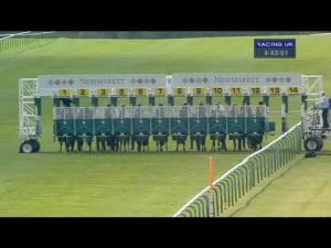 Video preview image for Newmarket 16:40 - Tamdown Maiden Stakes