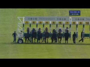 Video preview image for Newmarket 17:15 - Tamdown Group Handicap