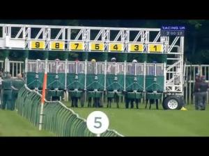 Video preview image for Nottingham 14:00 - EBF Stallions Happy 10th Birthday Racing UK Maiden Stakes