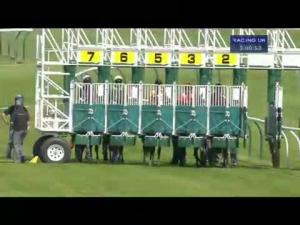 Video preview image for Nottingham 15:00 - Phs Group Handicap