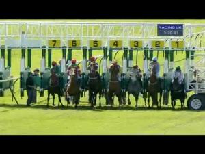 Video preview image for Ayr 15:20 - Hamilton Brothers and Kubota Handicap
