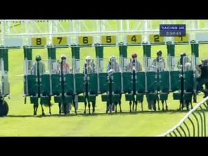 Video preview image for Ayr 15:50 - Racing UK Ipad App racinguk.com/mobile Handicap (Fillies & Mares) (Qualifier For Betfair Scottish Mile Series Final)