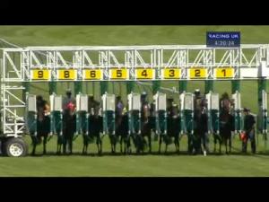 Video preview image for Ayr 16:20 - Watch On 3 Devices racinguk.com/anywhere Handicap (Qualifier For The 15,000 Betfair Scottish Stayers Series Final)
