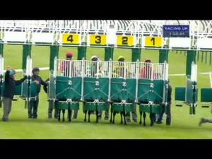 Video preview image for Ayr 13:50 - Coca-cola/British Stallion Studs EBF Maiden Stakes
