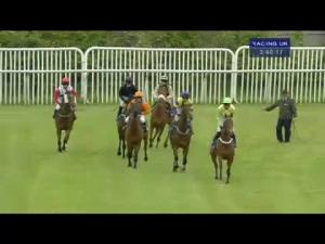 Video preview image for Wetherby 15:40 - Racing UK 10th Anniversary Handicap Hurdle