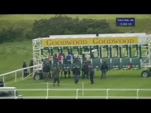Video preview image for Goodwood 17:00 - Breeders Backing Racing EBF Maiden Stakes
