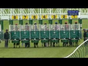 Video preview image for Ayr 17:10 - Smirnoff Gold Handicap