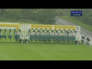 Video preview image for Goodwood 17:35 - Tj Group Apprentice Handicap
