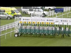 Video preview image for Sandown Park 18:25 - Mezzanine International Handicap