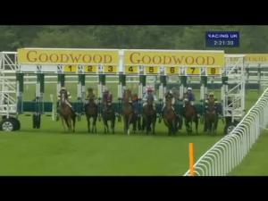 Video preview image for Goodwood 14:20 - Spitfire Maiden Auction Stakes