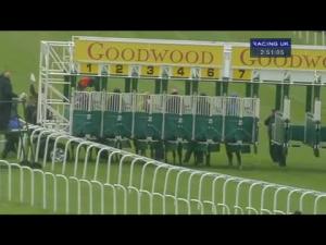 Video preview image for Goodwood 14:50 - Reheat Handicap