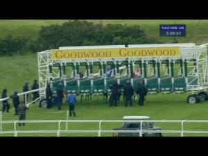 Video preview image for Goodwood 15:25 - Goodwood Flying School Fillies' Handicap