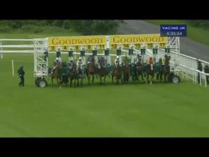 Video preview image for Goodwood 16:35 - Iba Handicap