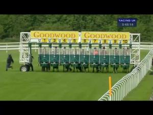 Video preview image for Goodwood 17:45 - Turftv For Betting Shops Handicap