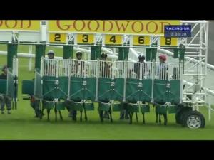 Video preview image for Goodwood 15:30 - ebfstallions.com Maiden Fillies Stakes
