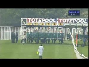 Video preview image for Catterick Bridge 16:35 - Bet On All UK Racing With Totepool Median Auction Maiden Stakes