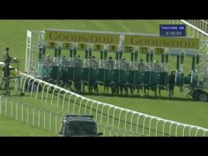 Video preview image for Goodwood 17:15 - Mary How Trust Maiden Fillies' Stakes