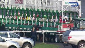Video preview image for Kempton Park 16:15 - Harry Durose Handicap (7)