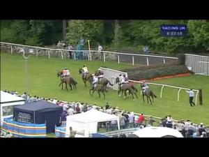 Video preview image for Cartmel 16:30 - Burlington Stone Grand Veterans' Handicap Chase