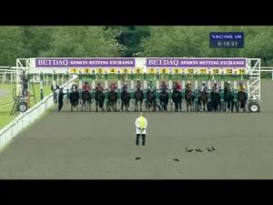 Video preview image for Kempton Park 18:15 - Irish Night On 09.07.14 Maiden Stakes (Div 1)