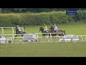 Video preview image for Wetherby 18:00 - Mini Cooper York Mares' Novices' Hurdle
