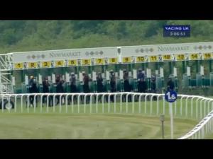 Video preview image for Newmarket 15:05 - Lloyds Bank Commercial Maiden Stakes