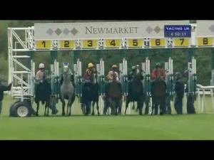 Video preview image for Newmarket 16:50 - Lex Autolease Classified Stakes