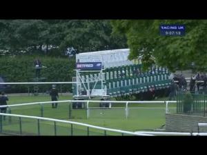 Video preview image for Haydock Park 21:05 - Vanessa Rogers Handicap