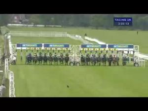 Video preview image for York 15:25 - Irish Champions Weekend Handicap