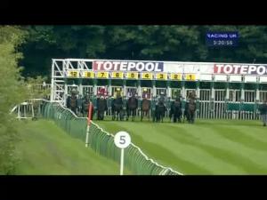 Video preview image for Nottingham 15:20 - Totequadpot Four Places In Four Races Handicap